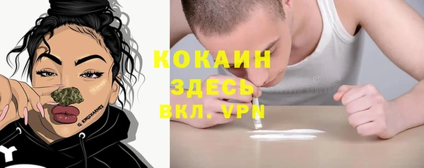 ECSTASY Богородск