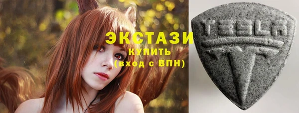 ECSTASY Богородск
